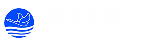 开云app(中国)官方网站